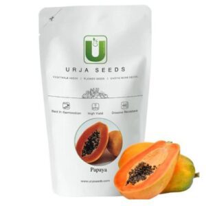Urja Madhuri Papaya Seeds