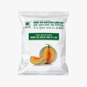 INDO US GOLD 999 F1 Hybrid Muskmelon Seeds