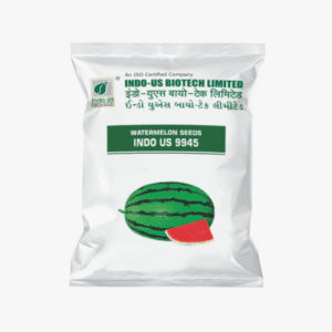 INDO US 9945 F1 Hybrid Watermelon Seeds