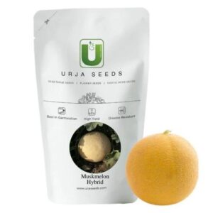 Urja F-1 Hybrid US-111 Muskmelon Seeds