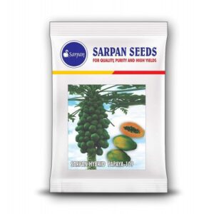 Sarpan Solo-109 Papaya Seeds